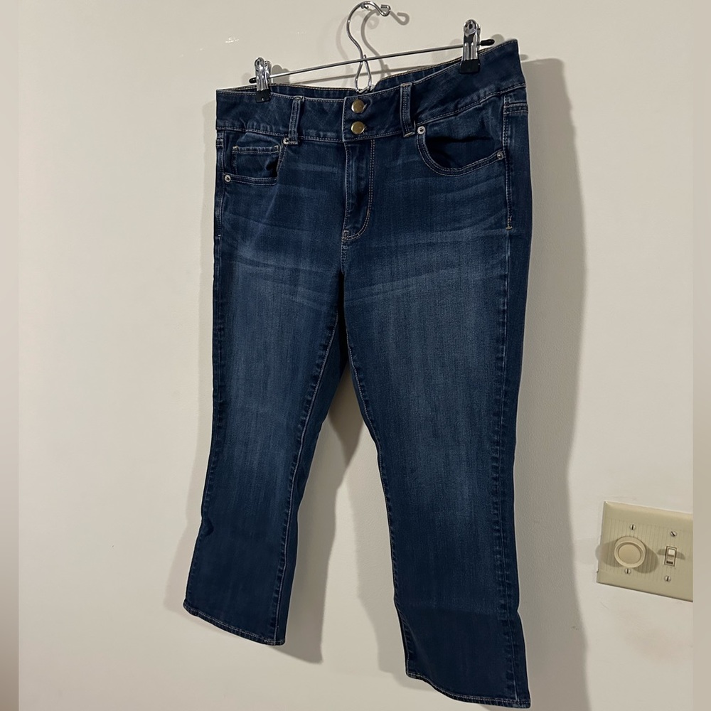 American Eagle Artist Crop. Size 16